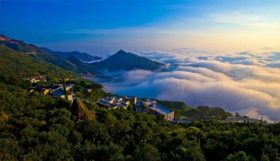 好茶测评|岁月雕刻的冰岛熟砖，喝它简单又舒适