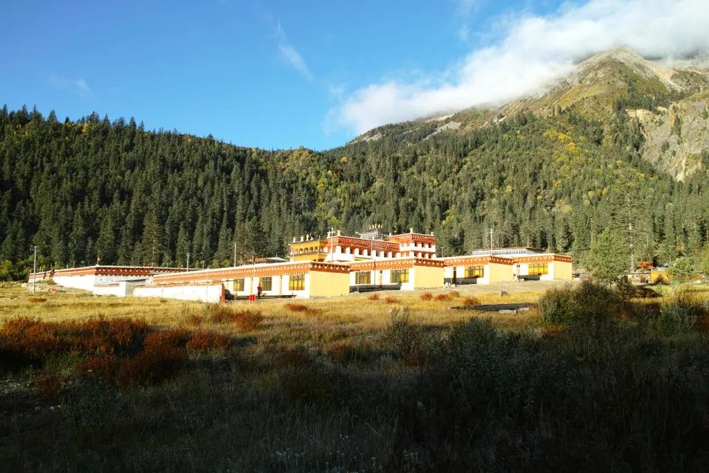 丁真和四川什么关系,丁真背后是谁