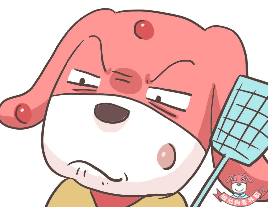 为何蚊子咬了不会肿大,耳朵被蚊子叮了怎么消肿止痒