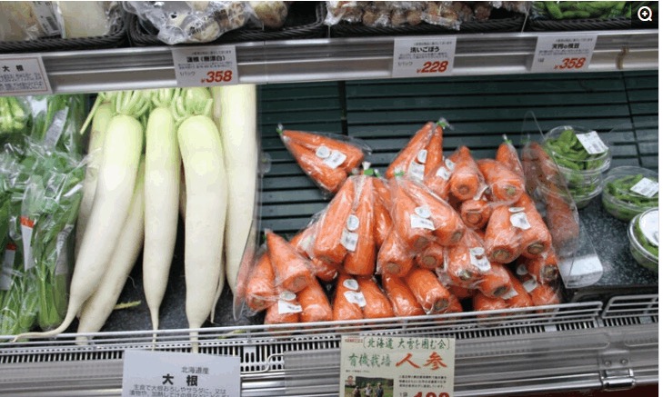 日本的生活成本是多少钱,最真实的日本生活成本太高