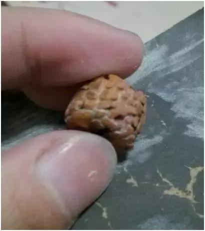 无齿金刚菩提子打磨视频,藏式无齿金刚