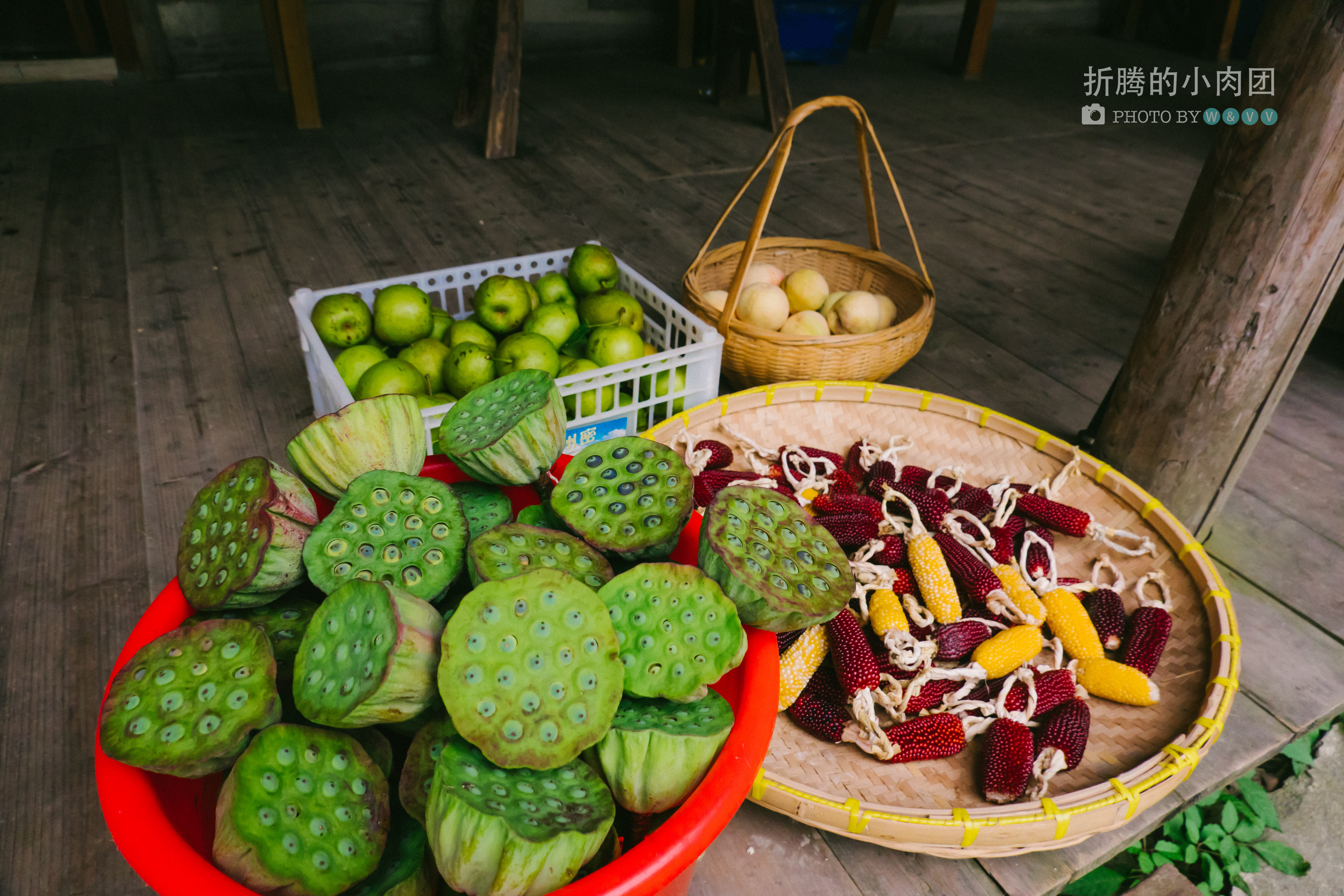 乌村亲子游全攻略,乌村亲子游攻略