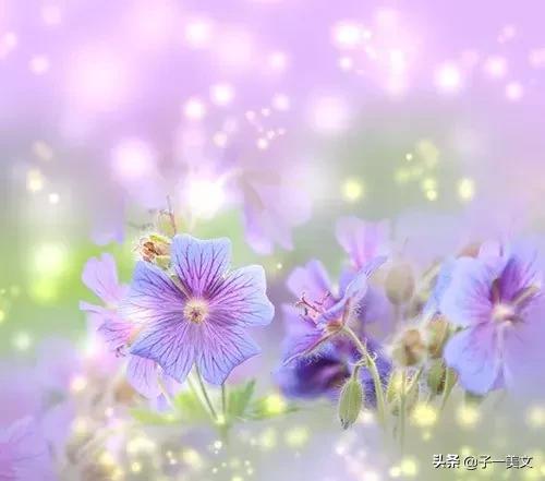 触动心弦的唯美早安心语配图,励志早安心语正能量简短触动心弦