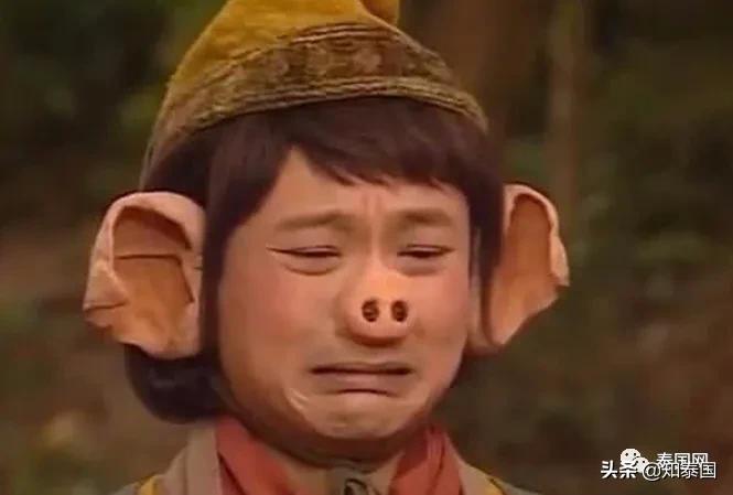 中国游客入境泰国,泰国可能对中国游客开放入境吗