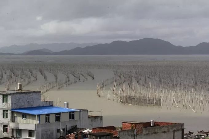 霞是光，浦是海：光与海的对话，吟唱出最美的滩涂