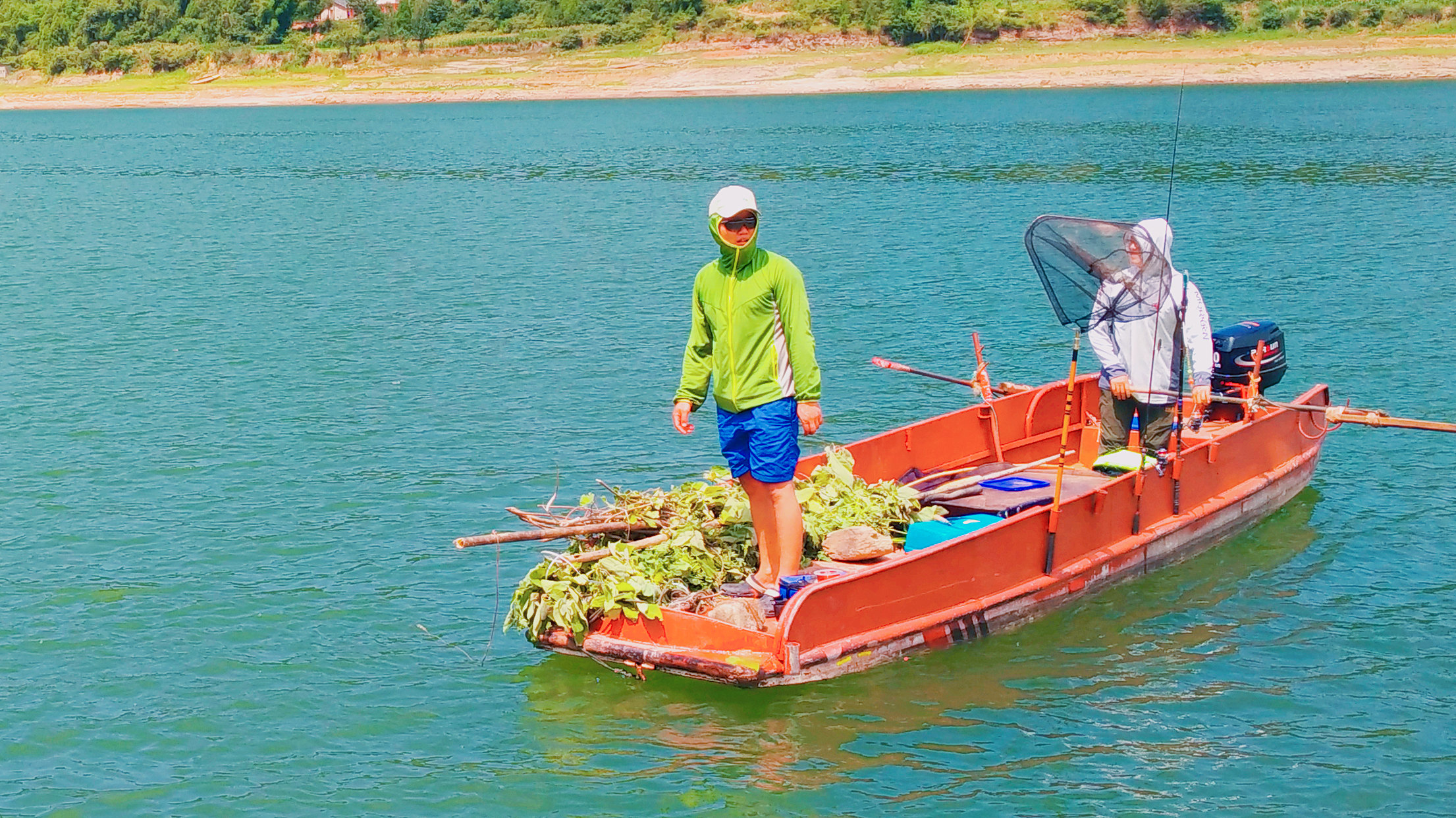 草鱼窝料水库,夏季专攻草鱼的窝料