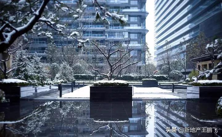 *瑰园玫**|曲江池畔的「叛逆少年」，匠心打磨的「凝固艺术」