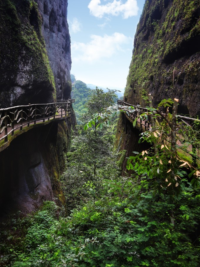 梅州采茶,梅州采茶体验