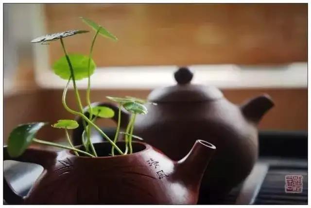 故有之以为利无之以为用怎么理解,故有之以为利无之以为用基本含义