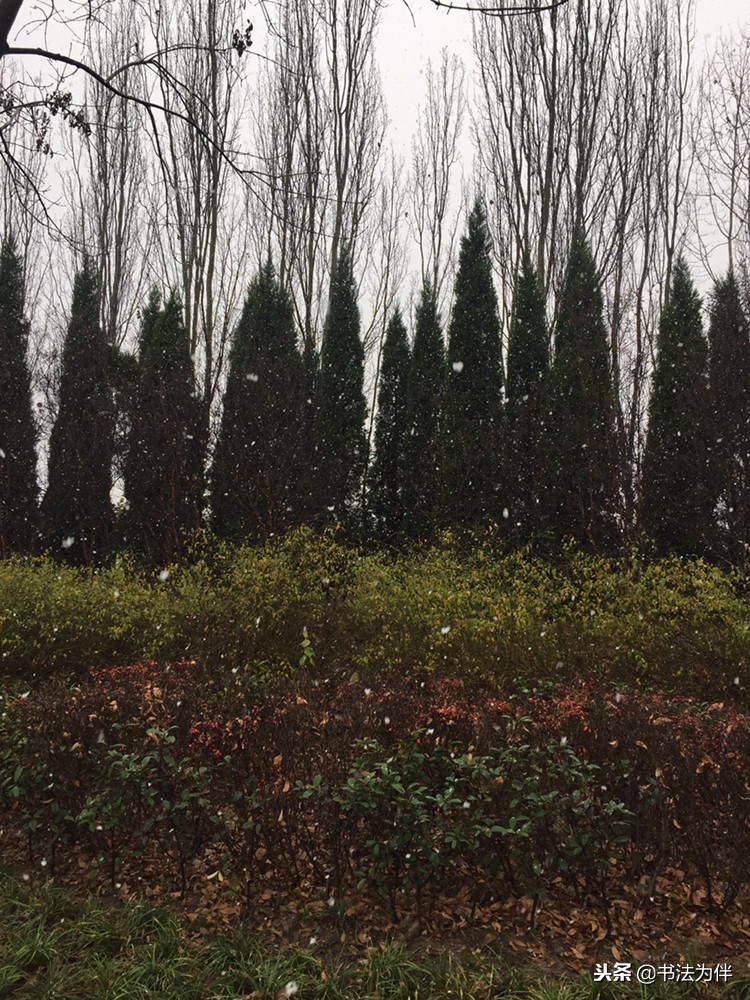 天冷了还要锻炼吗,为什么说下雪天适合练书法