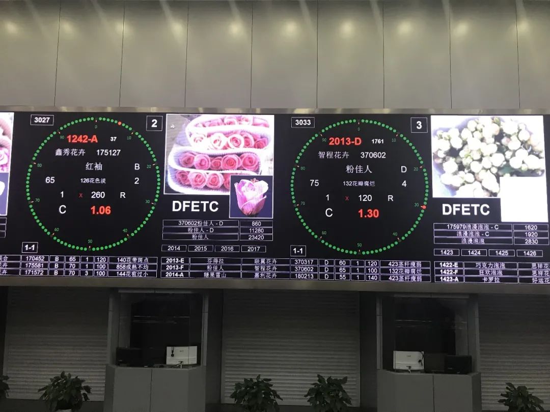 花店鲜花价格表大全,花店鲜花种类及价格表