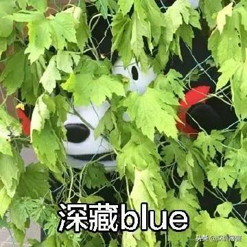 点开女朋友的个人空间，里面的照片让他五雷轰顶……