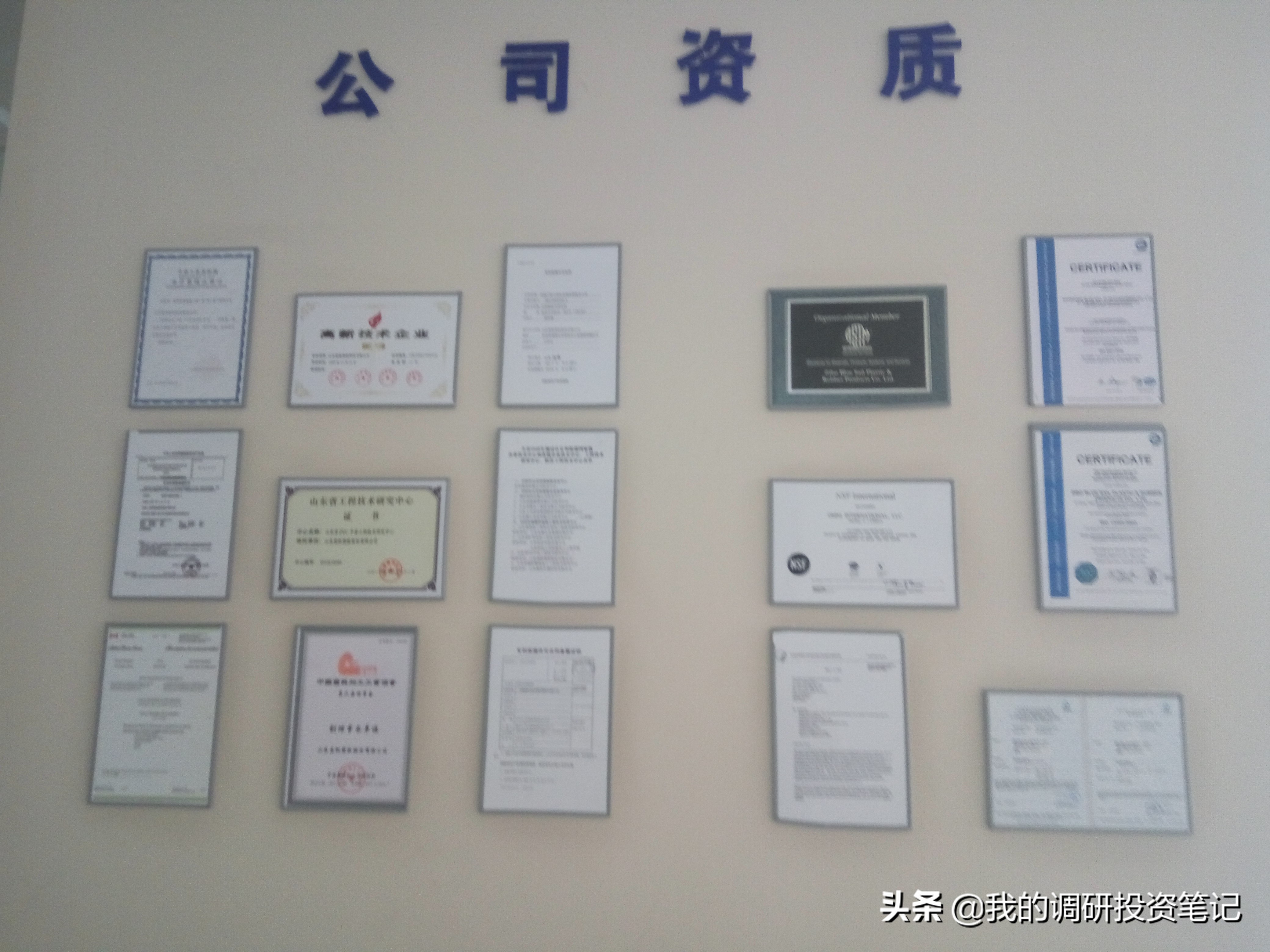 上市公司游记系列：欲往高处走的蓝帆医疗