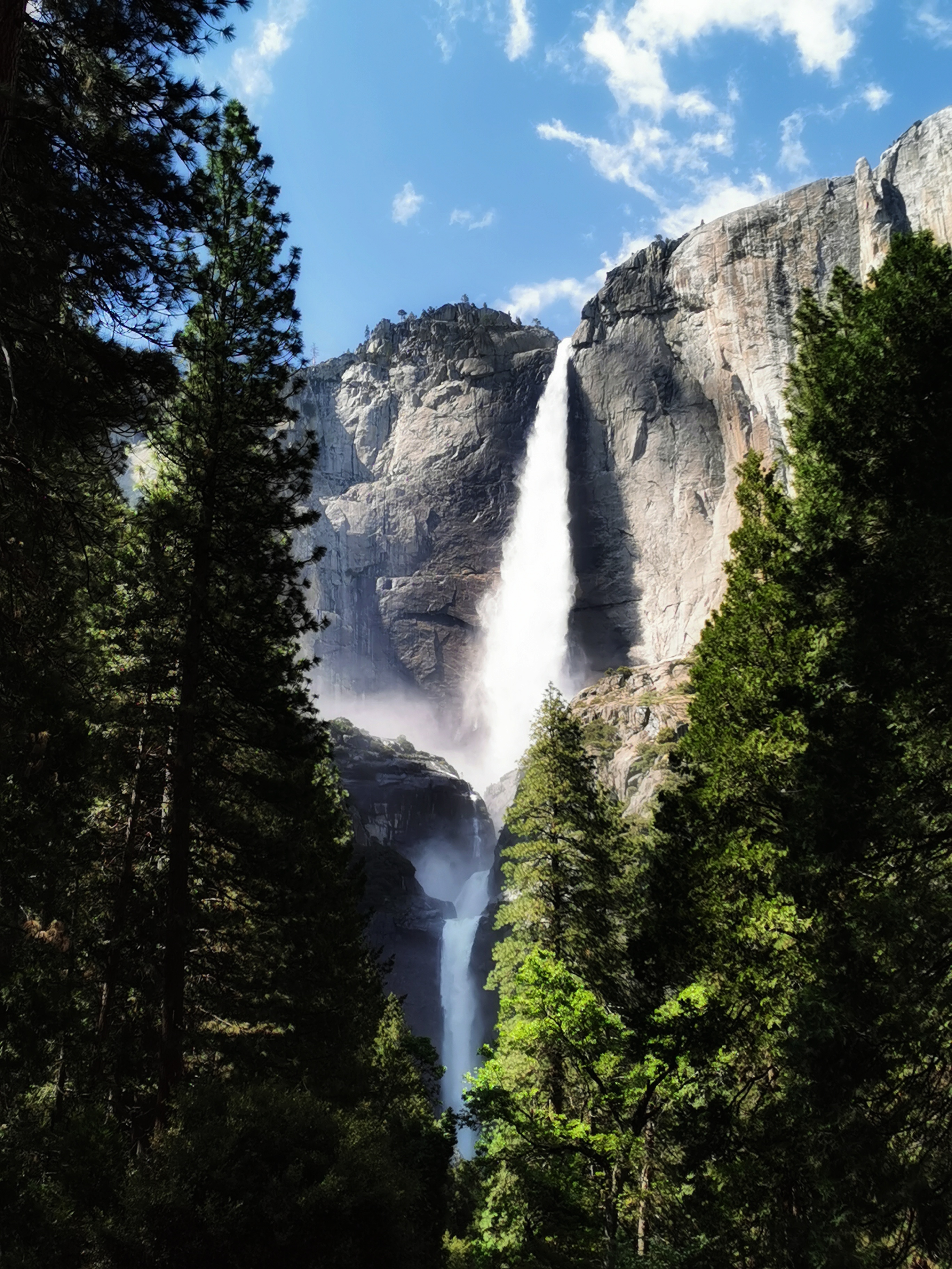 加利福尼亚优胜美地,美国旧金山优胜美地