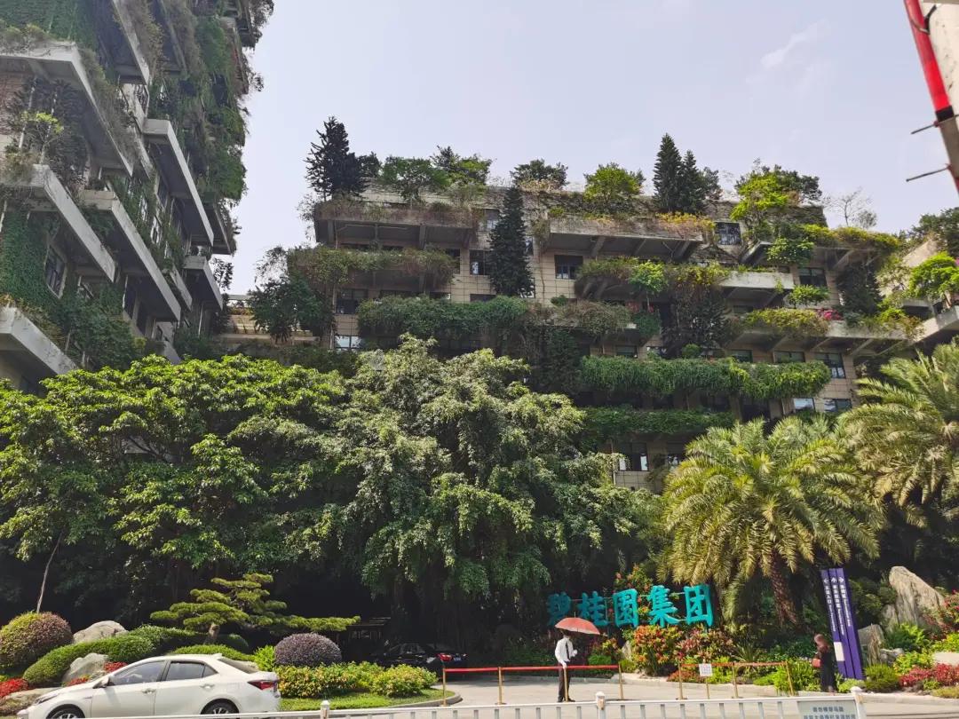 碧桂园发布机器人,碧桂园机器人突围路径