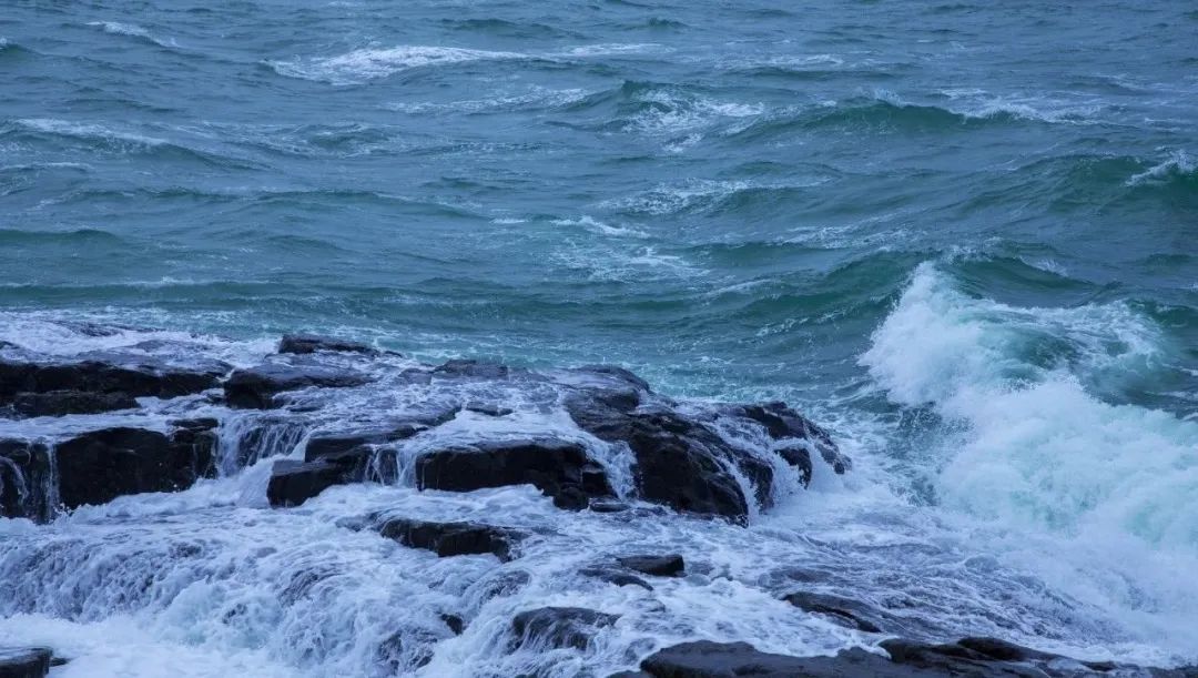 人脉如此重要：职场新人如何有效提高自己的人脉“搜索力”。