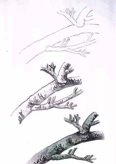 工笔梅花的分染上色教程,工笔梅花的10种设色技法收藏起来