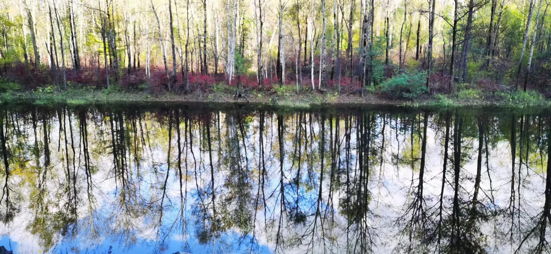 消失的同学群,变味的同学群