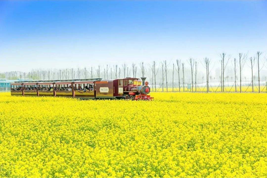 中国农业发展最好的城市,农业20强城市