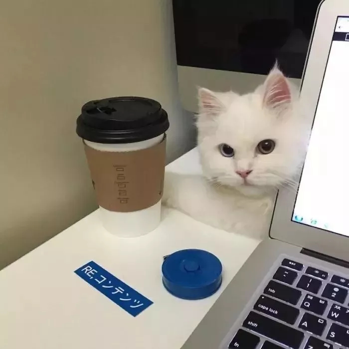 吉祥招财带来好运的山水微信头像,2024最招财带来好运的微信头像