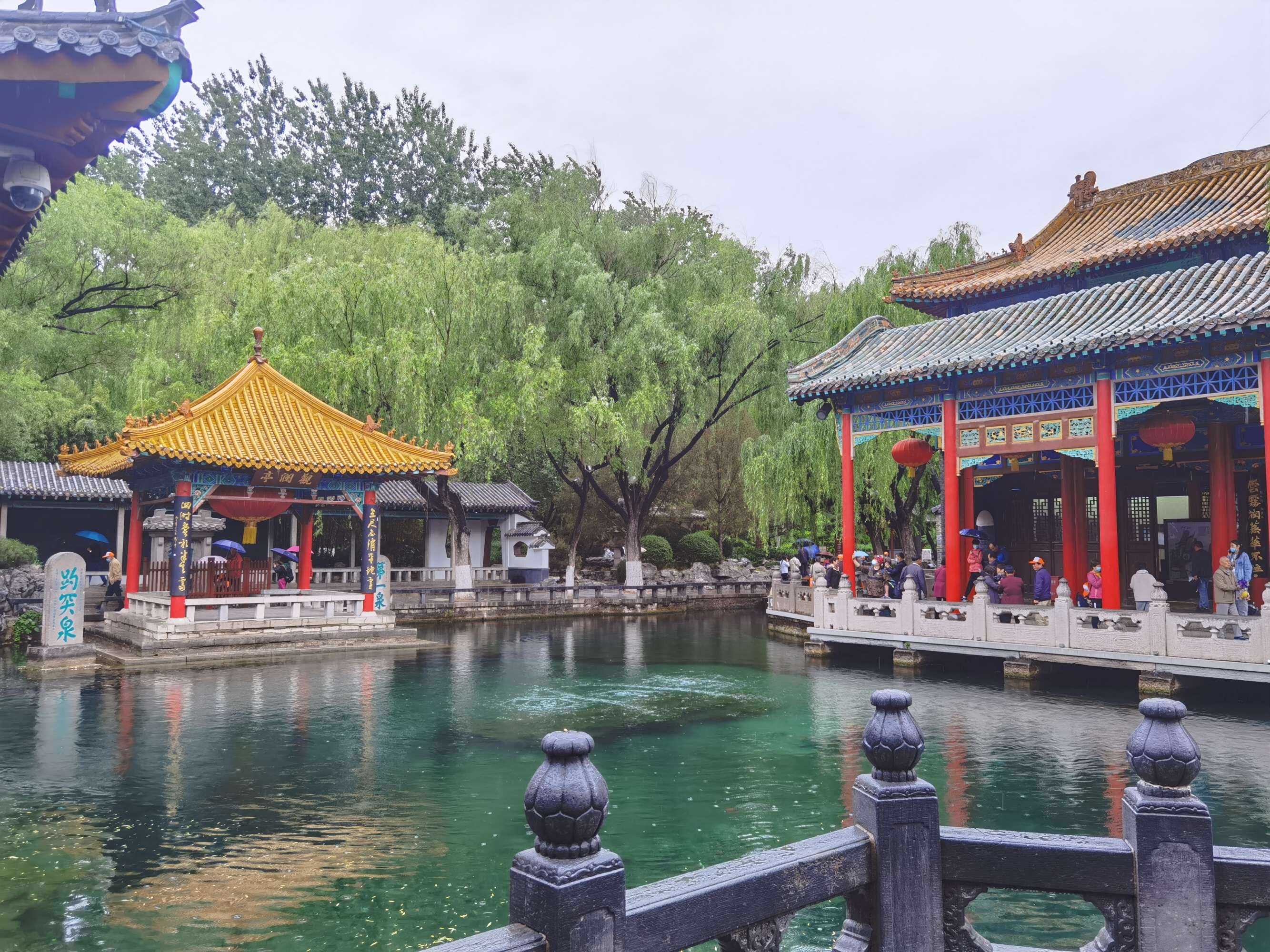 浜旈緳娼姳搴楄,椴佸畨娴庡崡蹇嗘棫