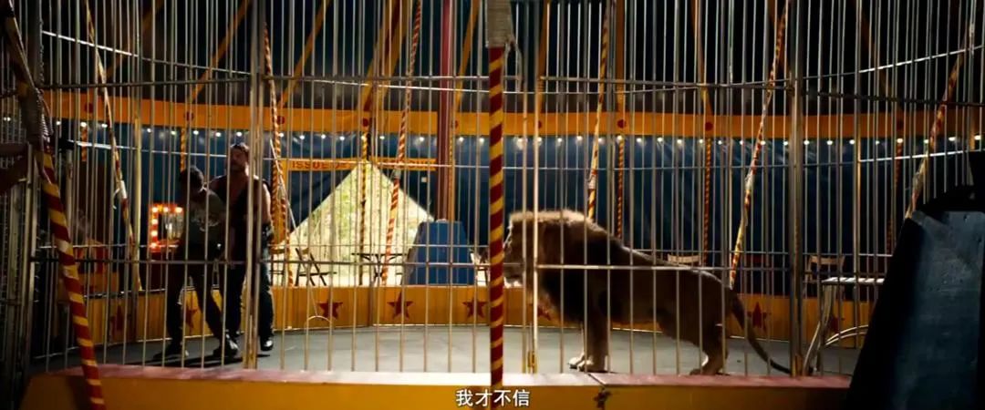 一部几乎零差评的高分神片,讽刺到极致的冷门好片