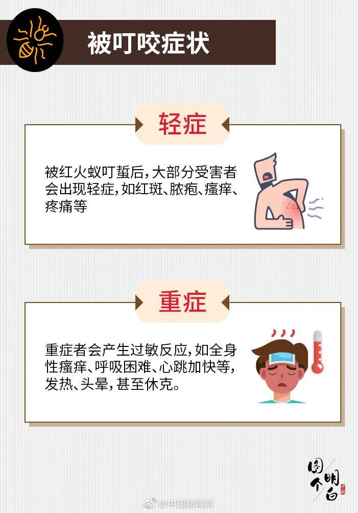 小心蚂蚁,小心红火蚁