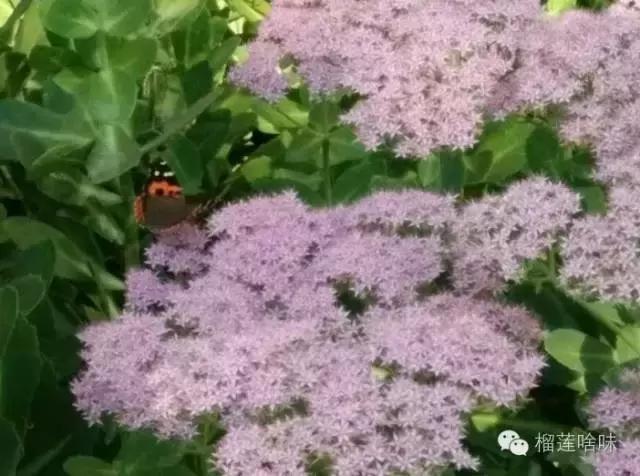 上高二女儿说要打耳洞该怎么劝说,高中女孩想打耳洞
