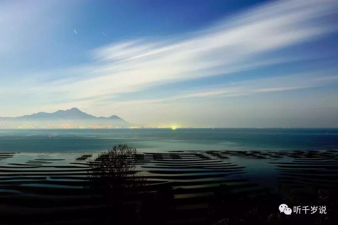 日本东京熊本熊,日本熊本游