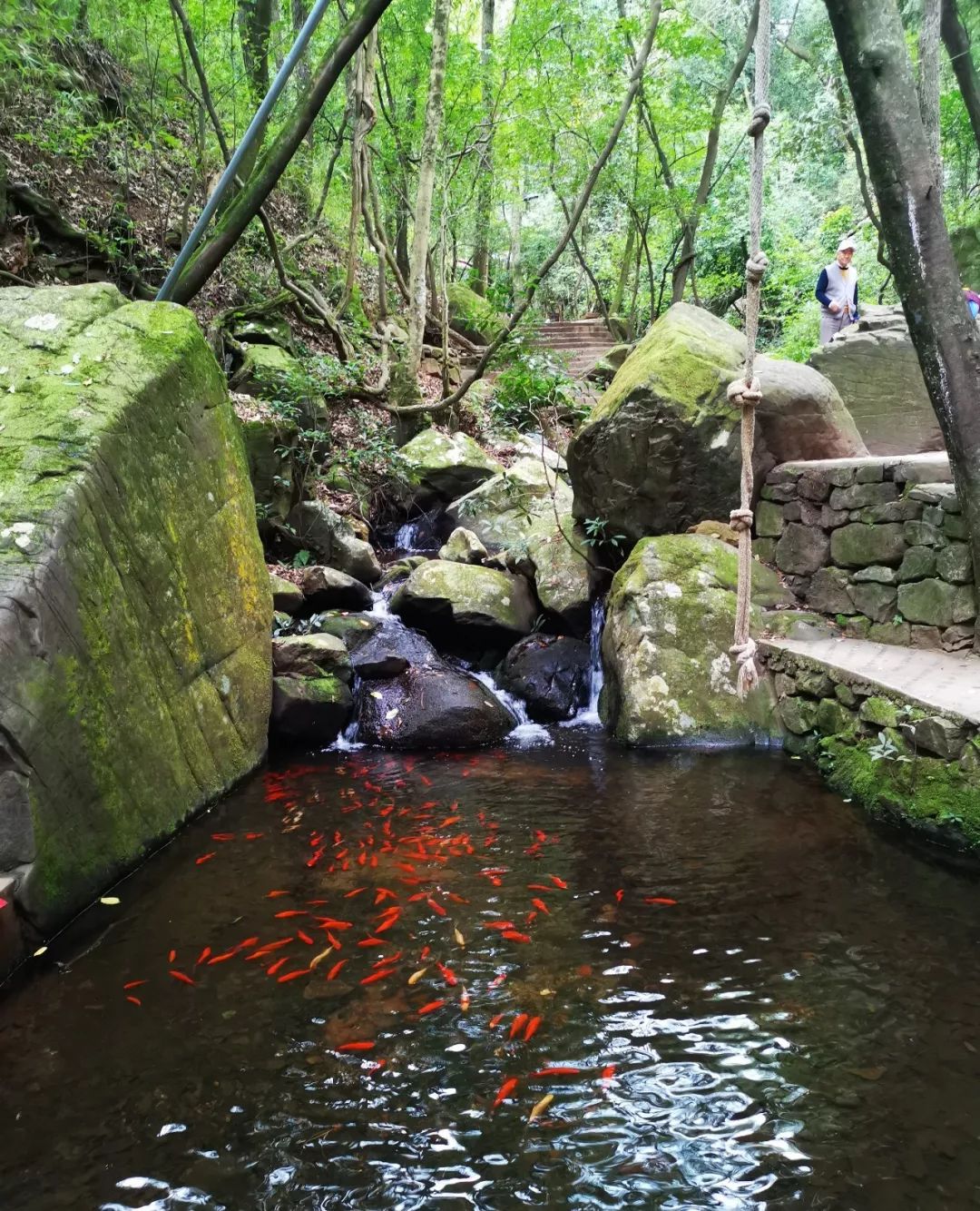 端午去哪玩昆明,暑假自驾游攻略昆明天气