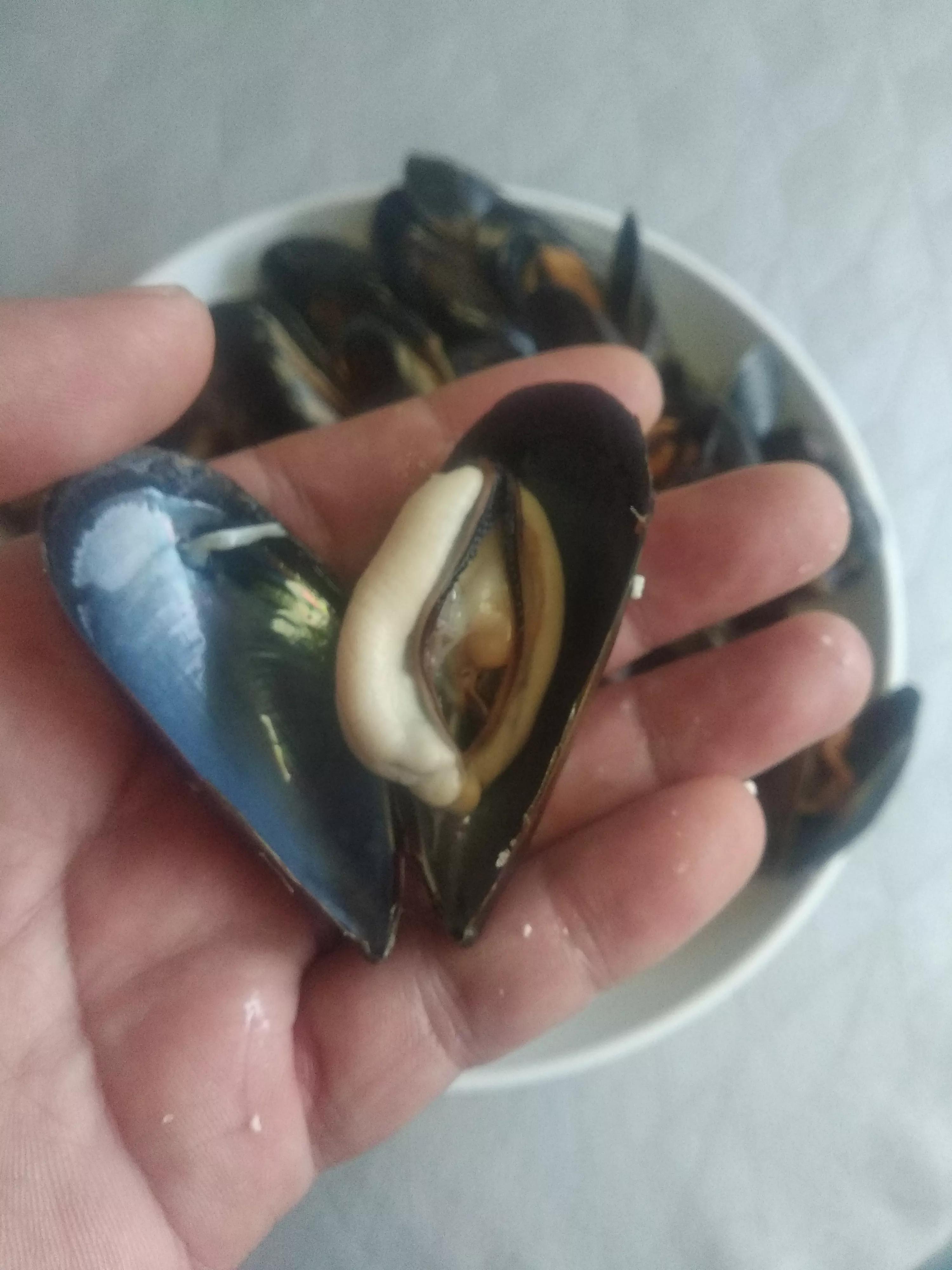 吃海虹正确方法,煮熟的海虹吃不了怎么做