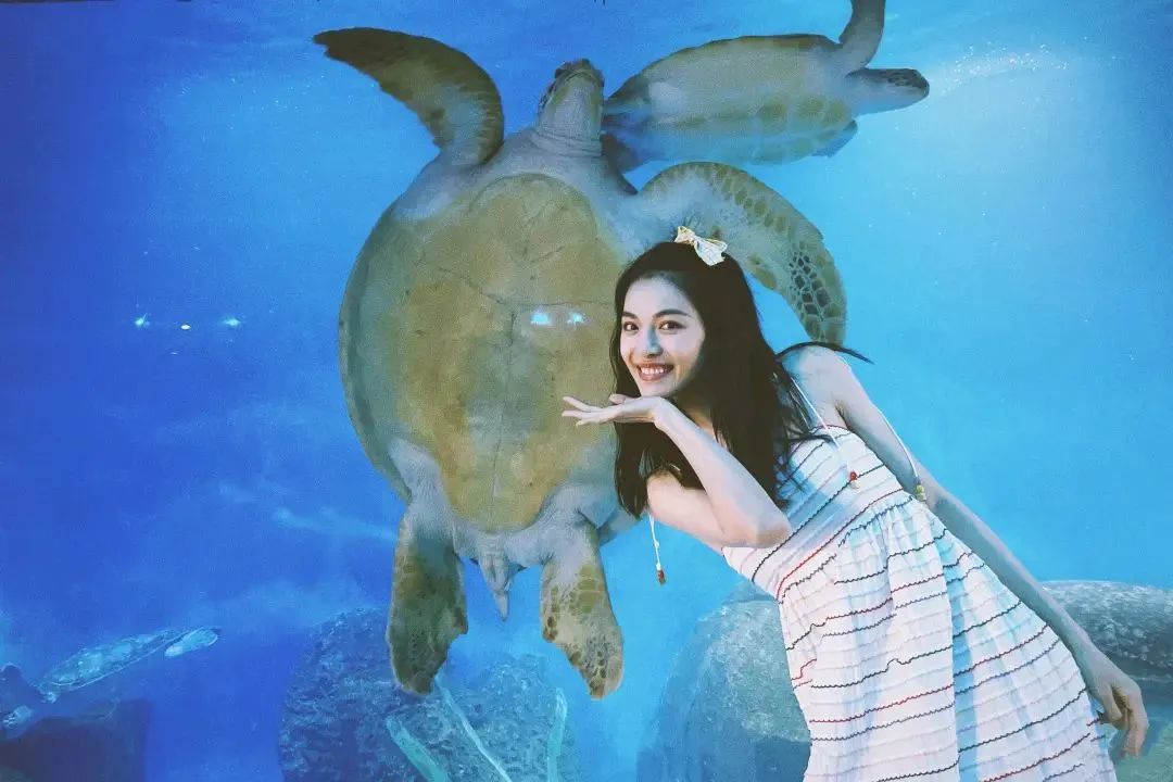 2020最会穿的女明星,女明星都穿哪些品牌