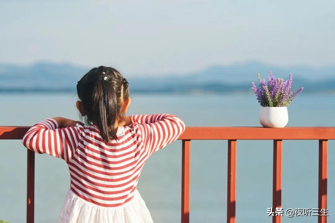 「夜听」人如玫瑰，身上要长些刺