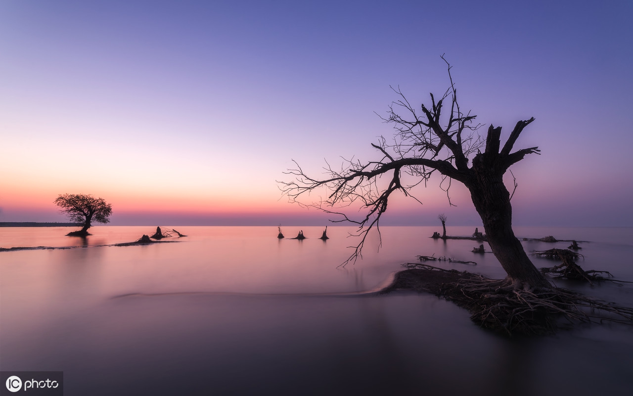 天猫零基础实操,天猫平台经营模式的建议和想法