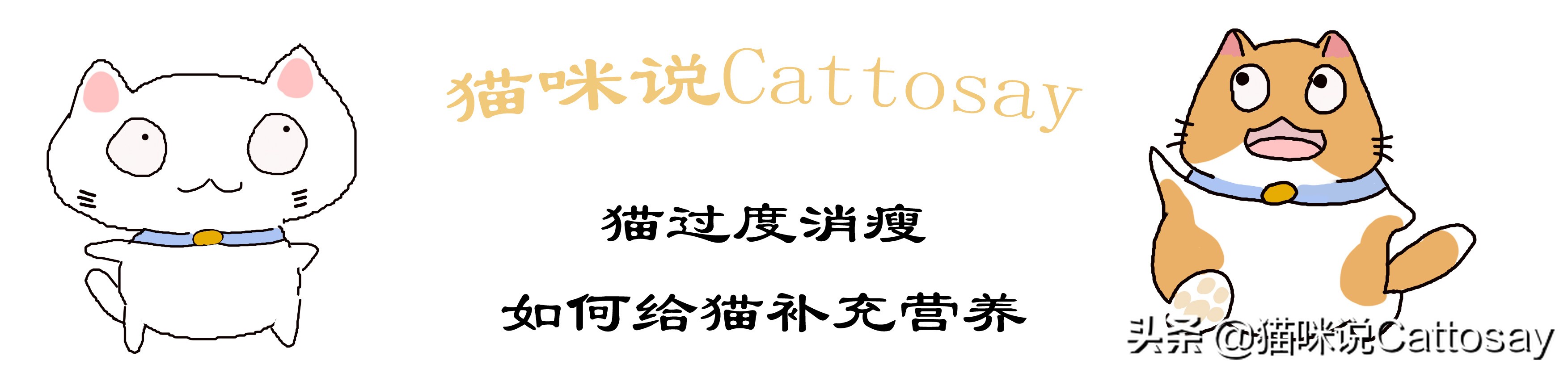 猫过度摄入维生素b会怎样,猫生病后怎么通过饮食给他补营养