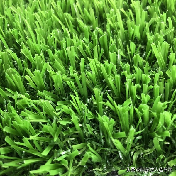 社区场地设施方案,社区体育场馆建设方案