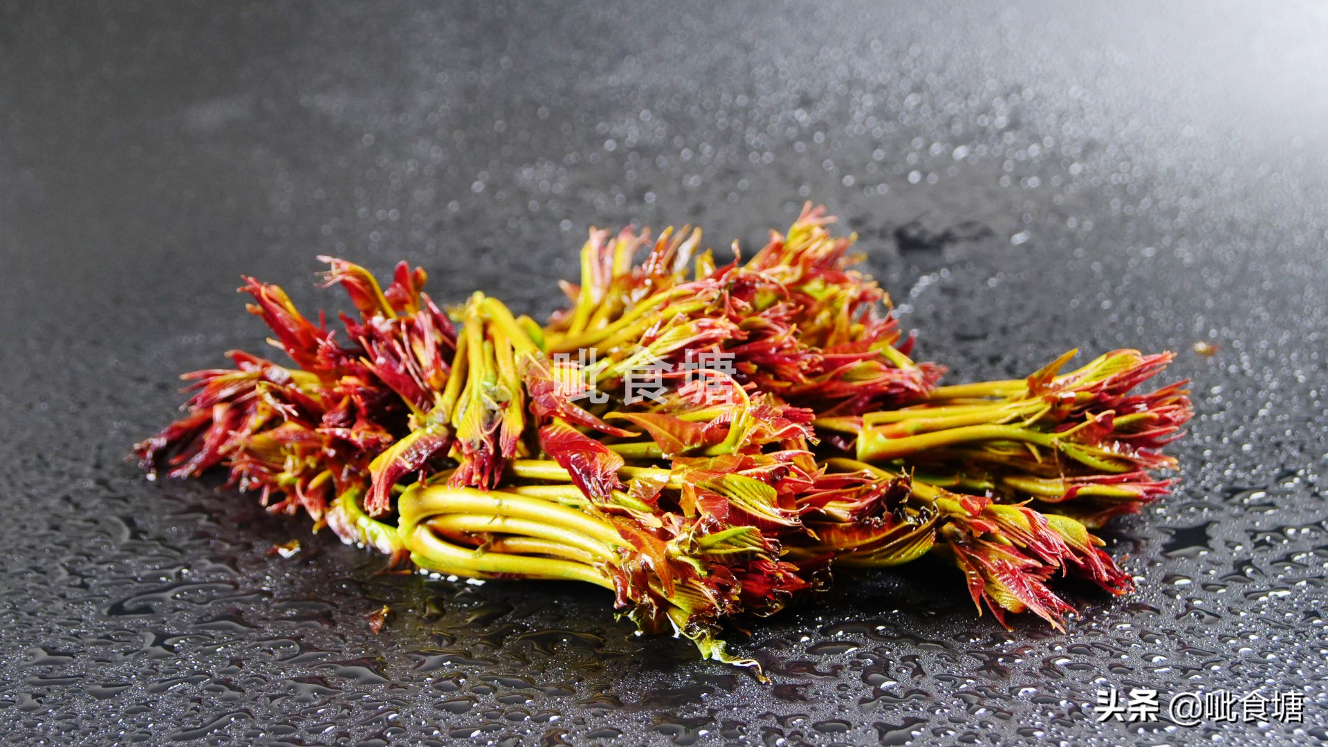 春天的香椿芽最好吃,香椿芽炒土鸡蛋图片