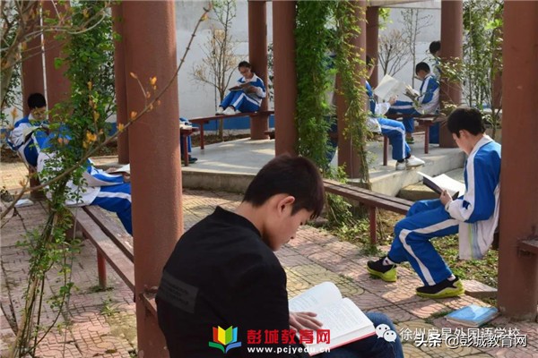 徐州市启星外语学校,徐州启星外国语学校小学部