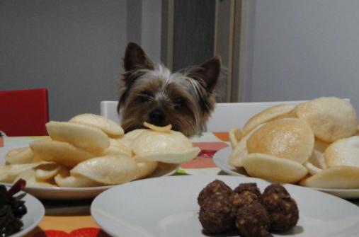 哪些水果不能喂宠物,狗狗不能吃果核