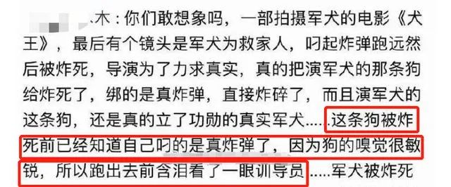功勋军犬为拍戏被炸死片段,为了电影而被炸成碎片的军犬