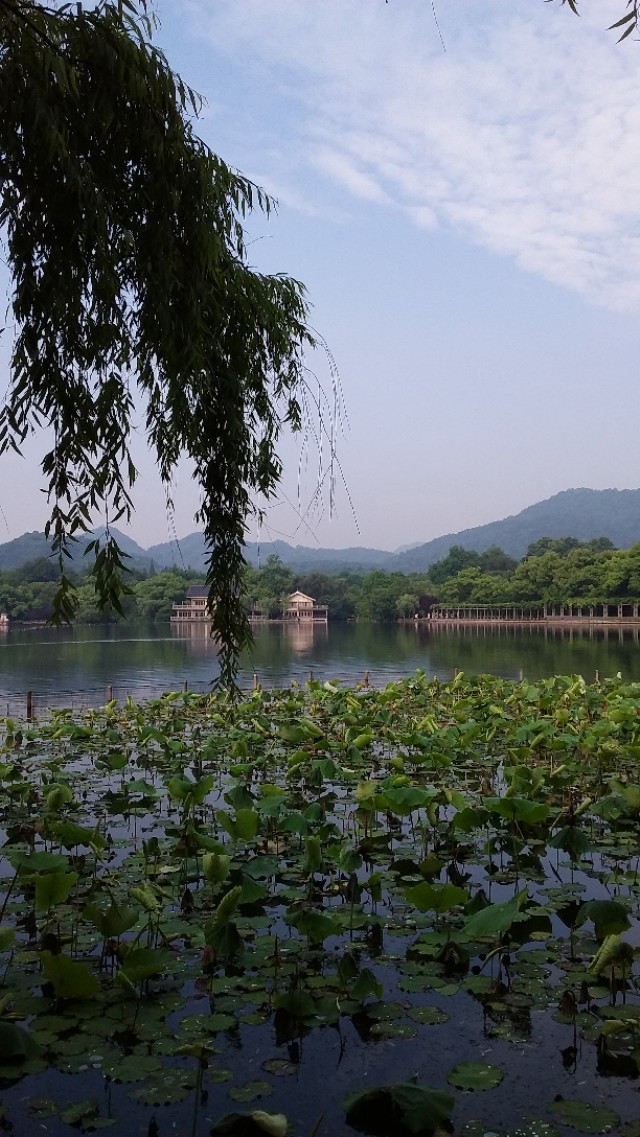 第二批西湖风景名胜区,杭州西湖的风景美如画