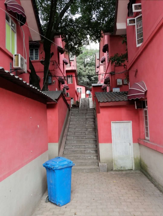 扫街日记100篇,扫街日记视频