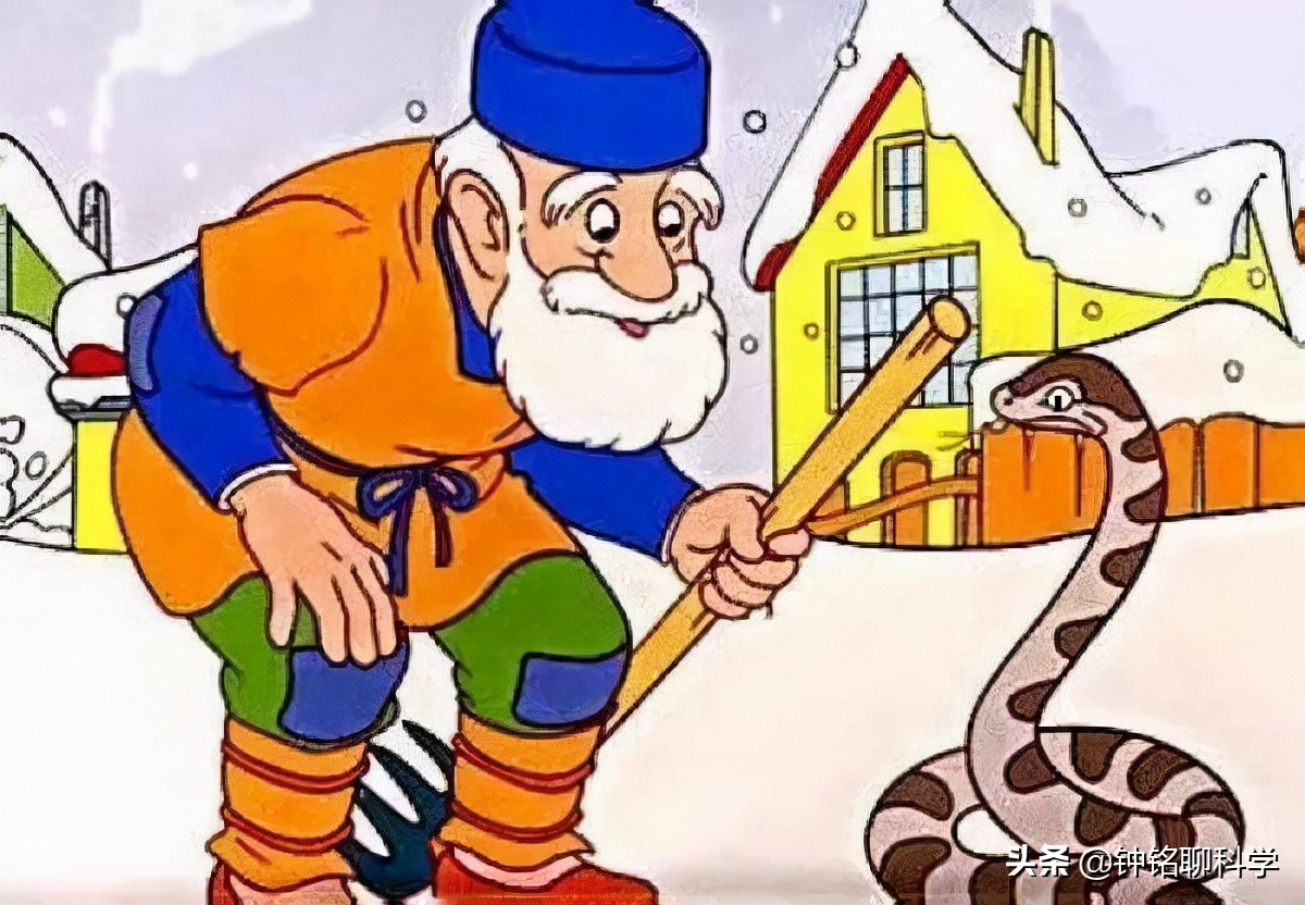 蛇冬眠挖出来是不是没攻击性,蛇冬眠在生物上是什么行为