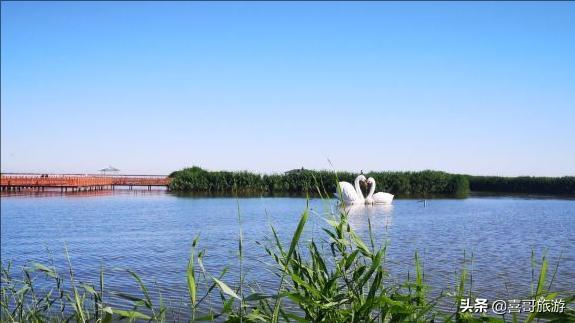 去内蒙古巴彦淖尔市旅游交通攻略,内蒙古巴彦淖尔旅游最佳季节