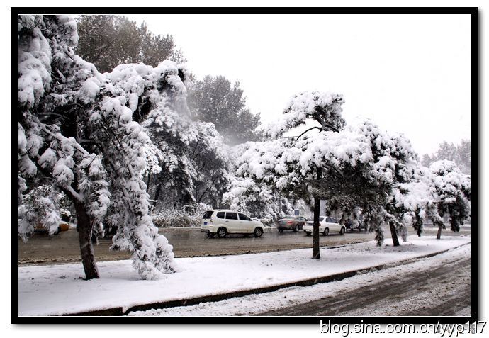 秋韵温柔岁月，冬情惊艳时光