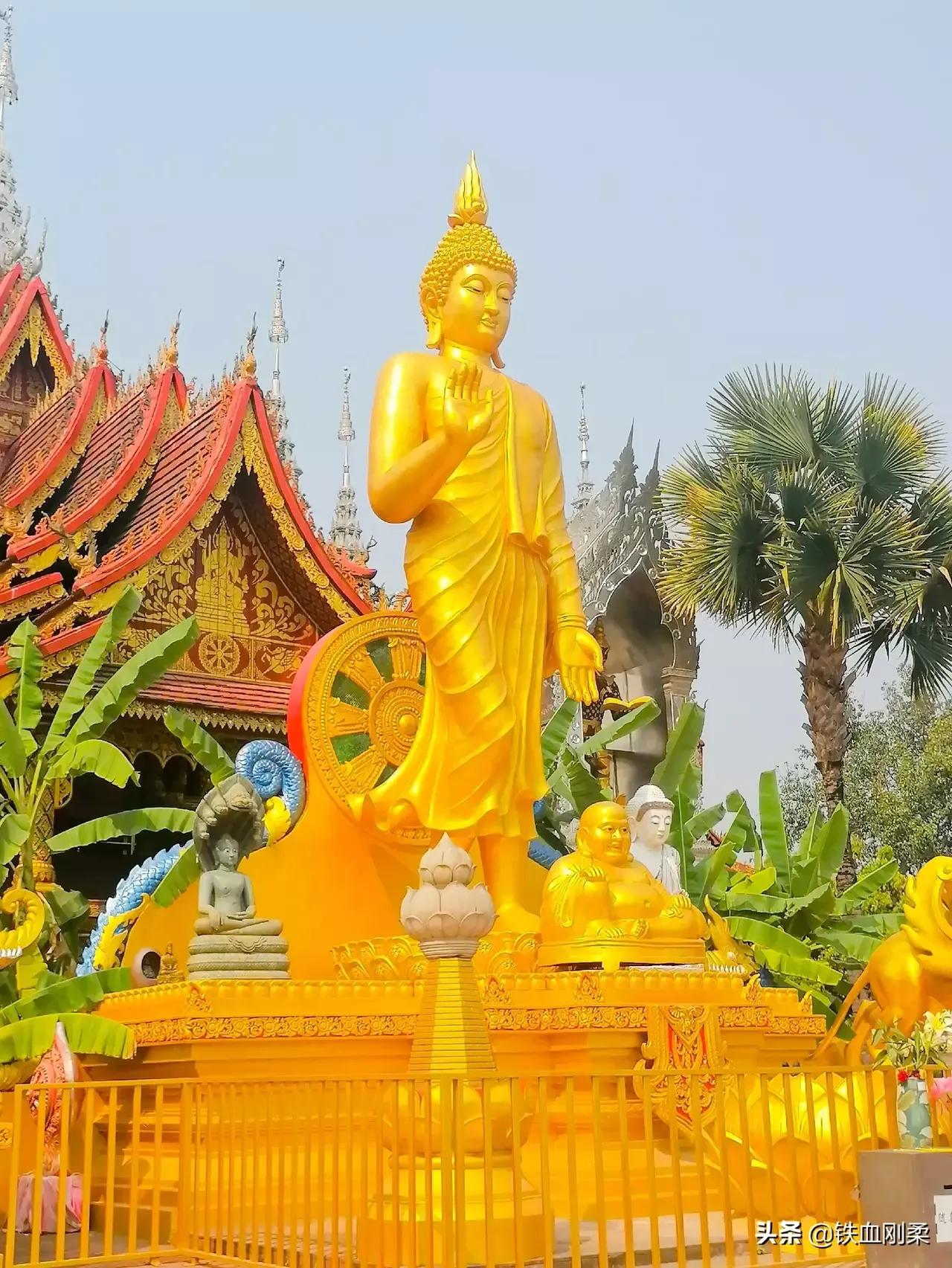 西双版纳景洪景区介绍,西双版纳景洪旅游胜地