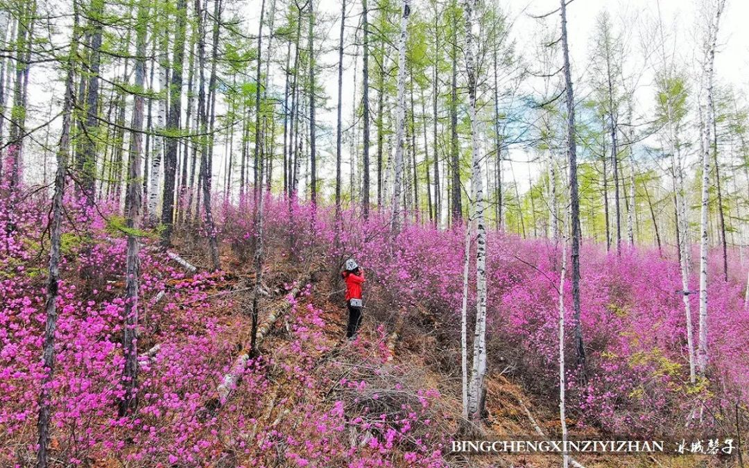 寻找中国最美的春季,探寻中国最美秘境
