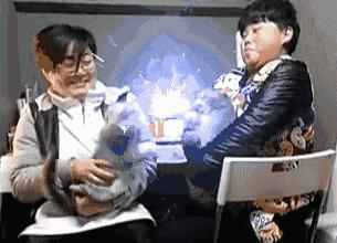 养猫怎么喂养小猫,新手养猫准备接猫咪需要买什么