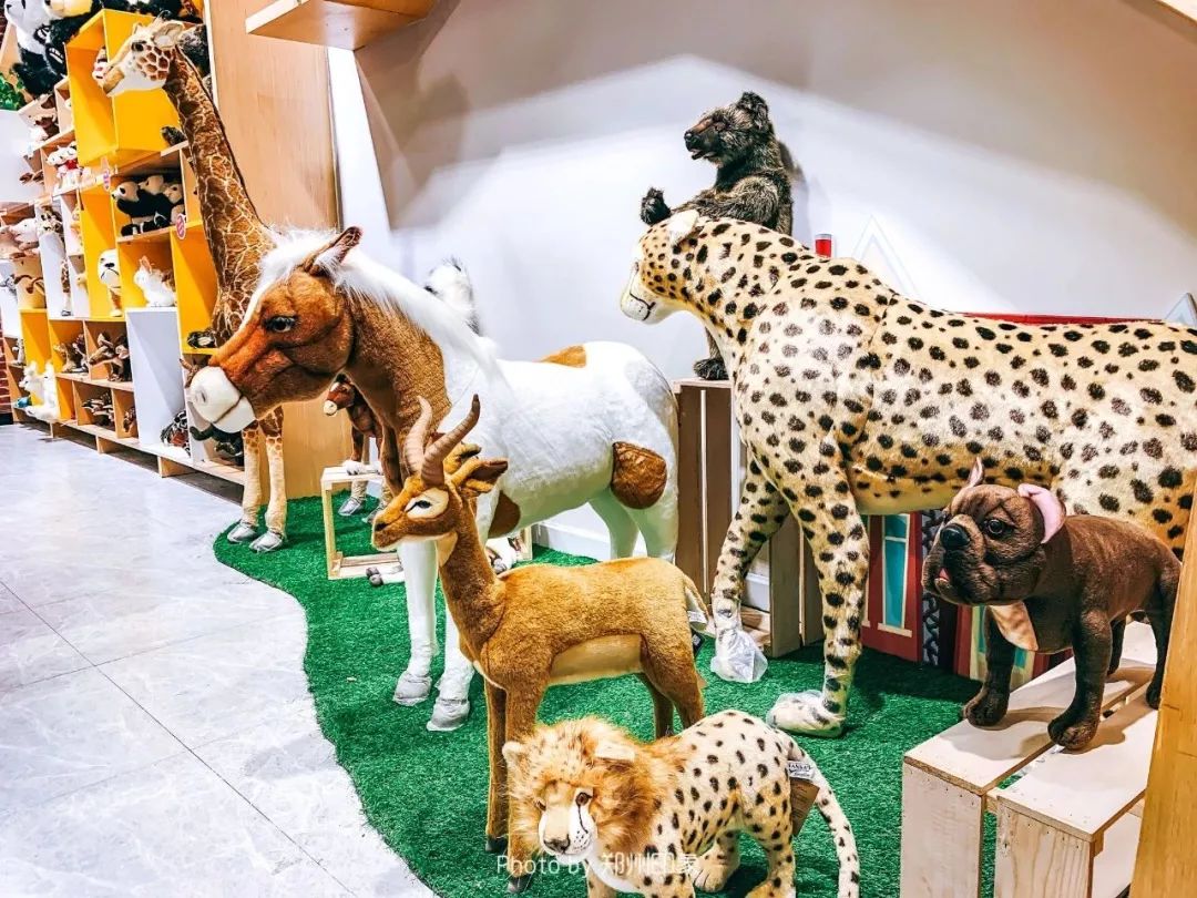 正弘城为什么这么热闹,正弘城有什么好逛的