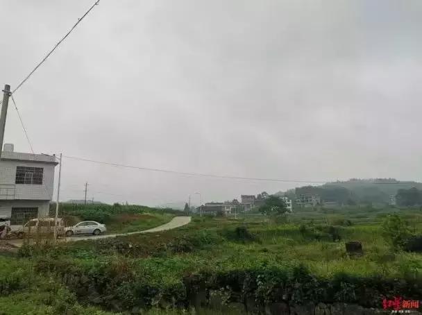 抢劫出租车司机案件,情侣被抢劫后的结局